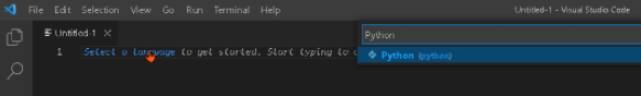 vscode-language-python